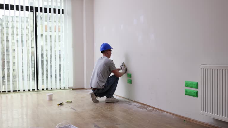 Professional Mold Removal in Mohnton, PA