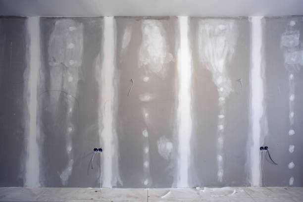 Mold Odor Removal Services in Mohnton, PA